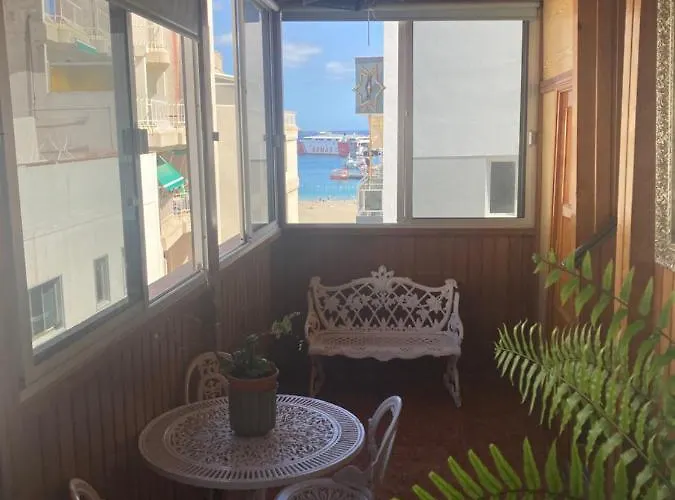 بيت ضيافة La Paloma